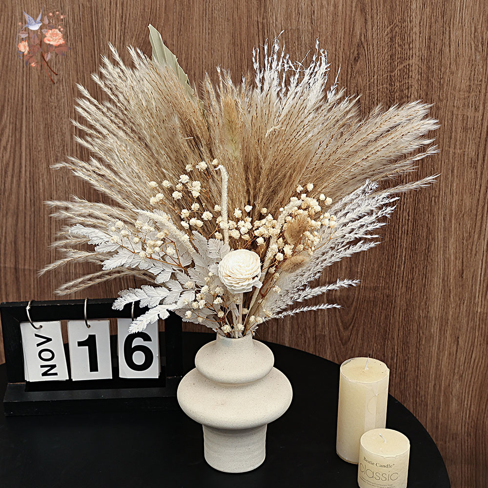 40 шт., сушеные трости пампаса – обзор и цена Dried Pampas Bundle