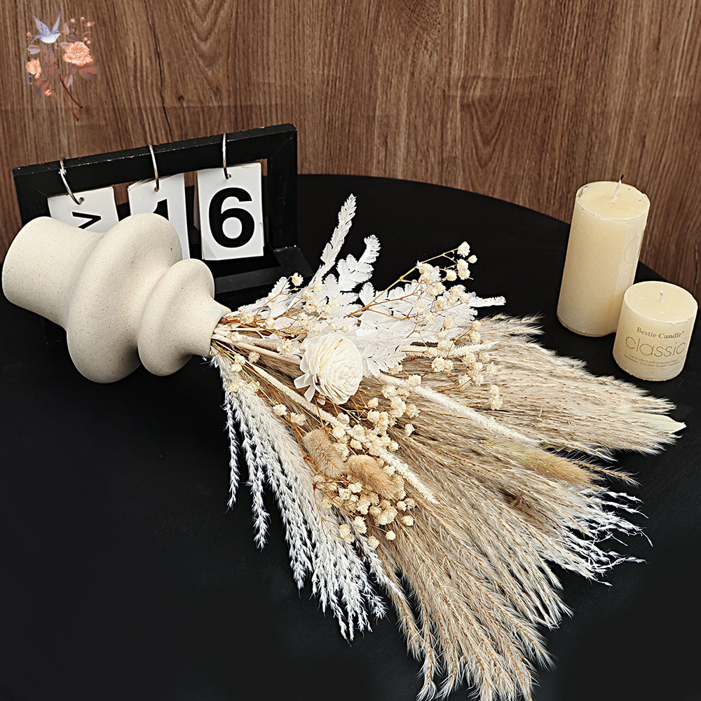 40 шт., сушеные трости пампаса – обзор и цена Dried Pampas Bundle