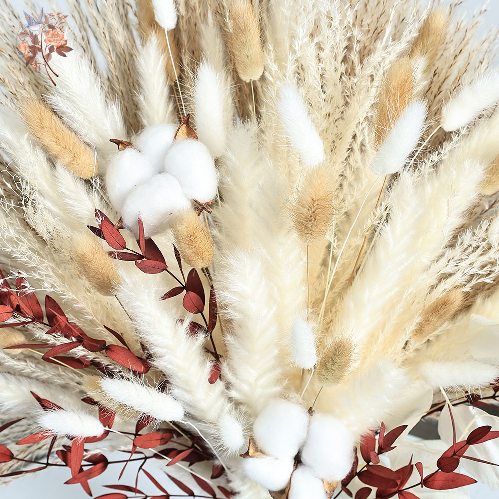 70 шт. сушеные цветы пампасов  – обзор и цена Dried Pampas Bundle