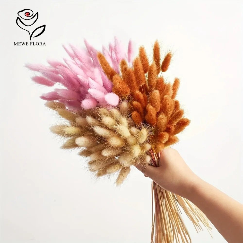 90 шт. смешанные 3 цвета, хвос – обзор и цена Dried Pampas Bundle