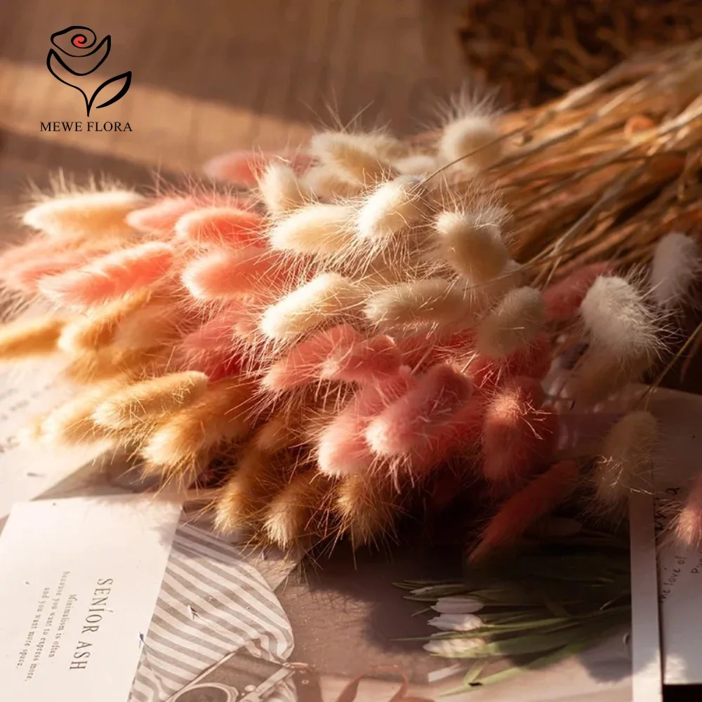 90 шт. смешанные 3 цвета, хвос – обзор и цена Dried Pampas Bundle