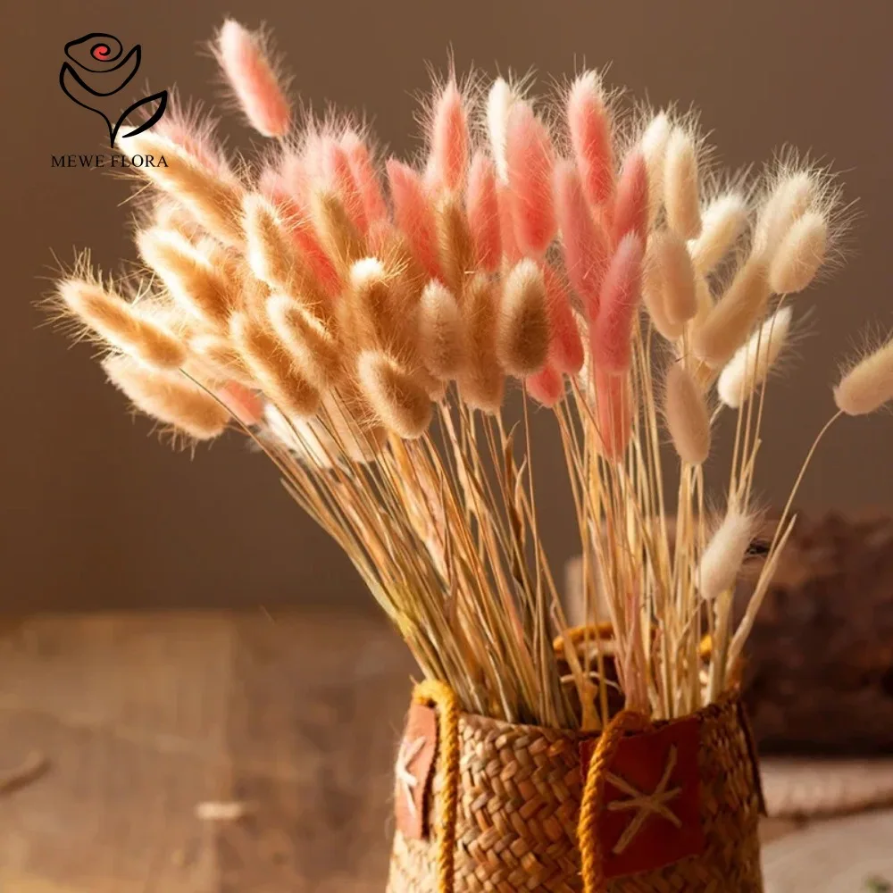 90 шт. смешанные 3 цвета, хвос – обзор и цена Dried Pampas Bundle