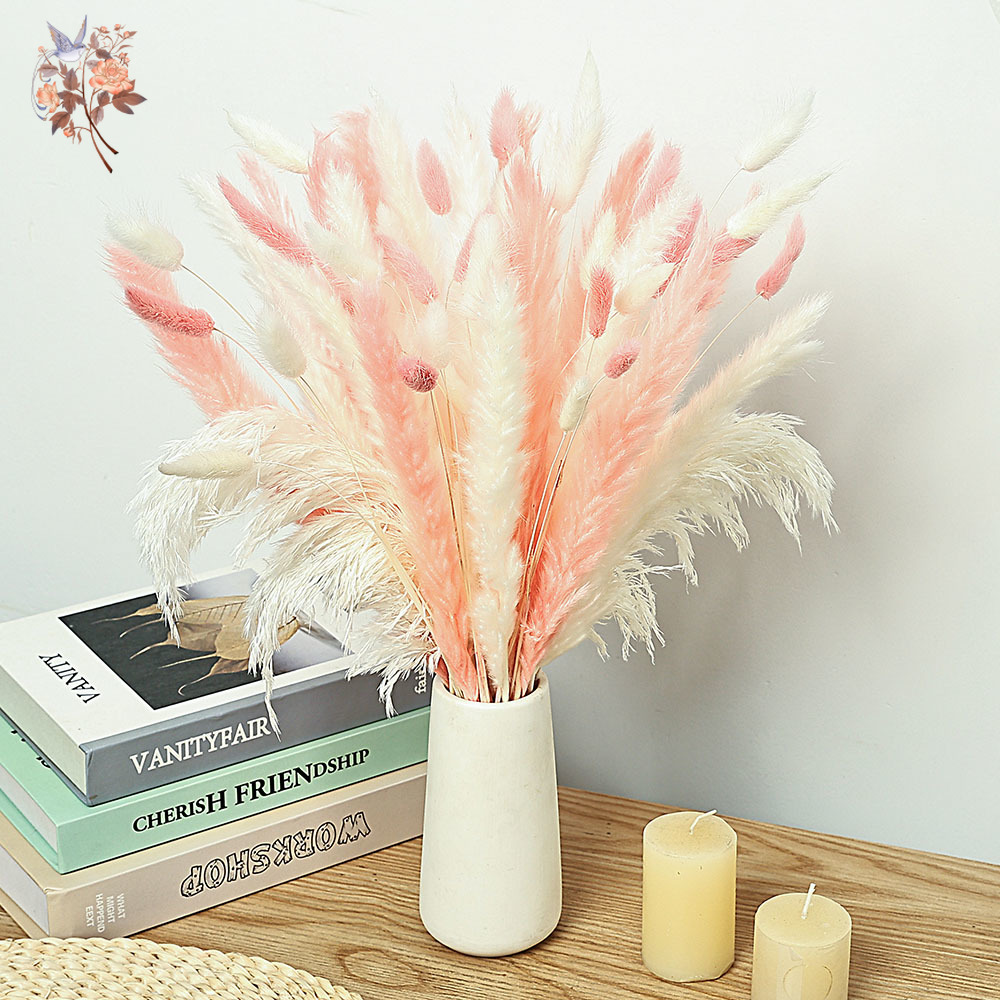 62 шт., белые трости, розовые  – обзор и цена Dried Pampas Bundle