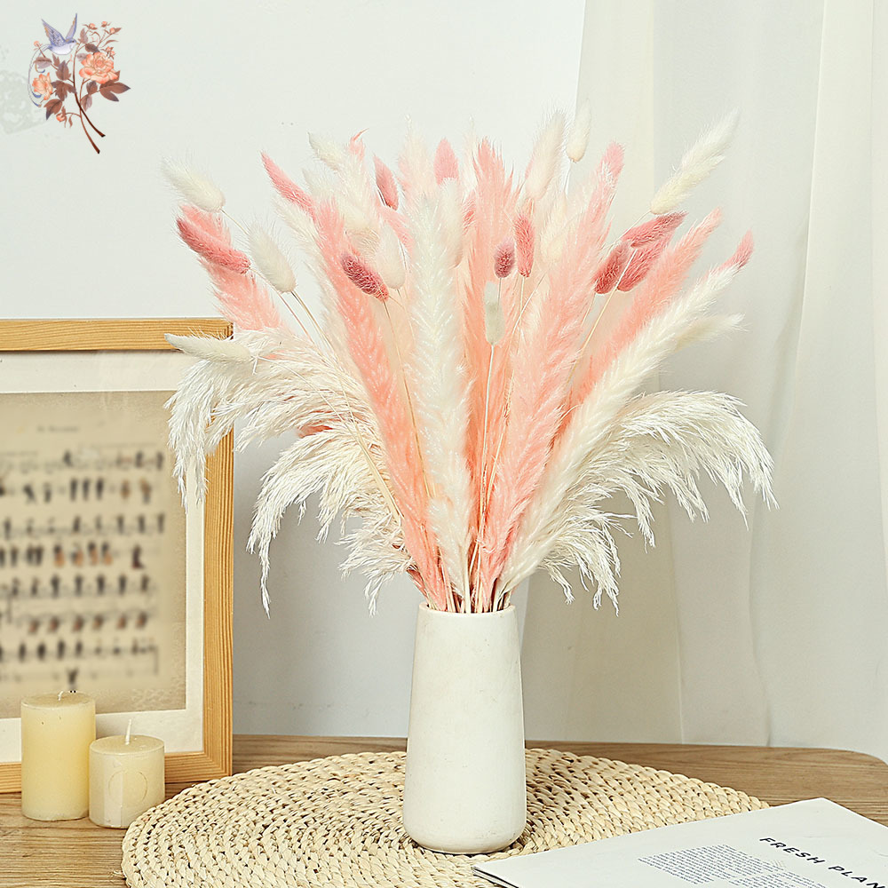 62 шт., белые трости, розовые  – обзор и цена Dried Pampas Bundle