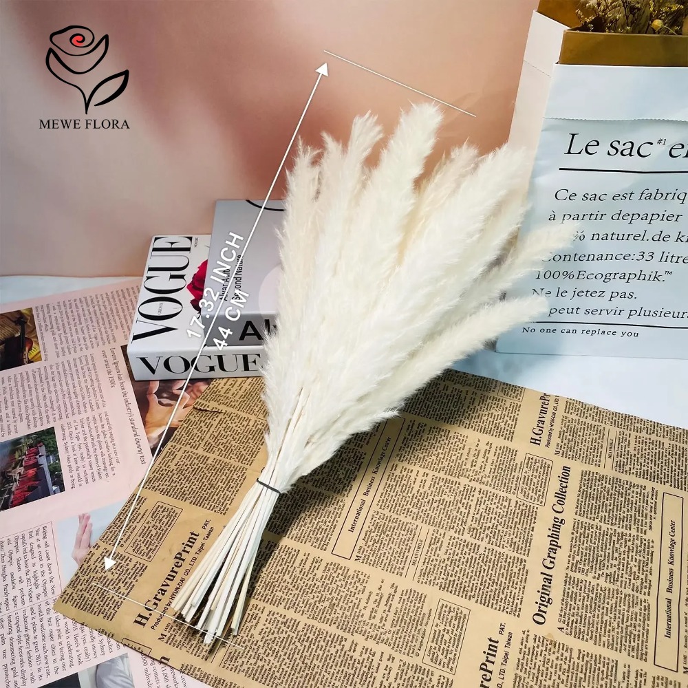 20 шт. пушистых пампасных трав – обзор и цена Dried Pampas Bundle