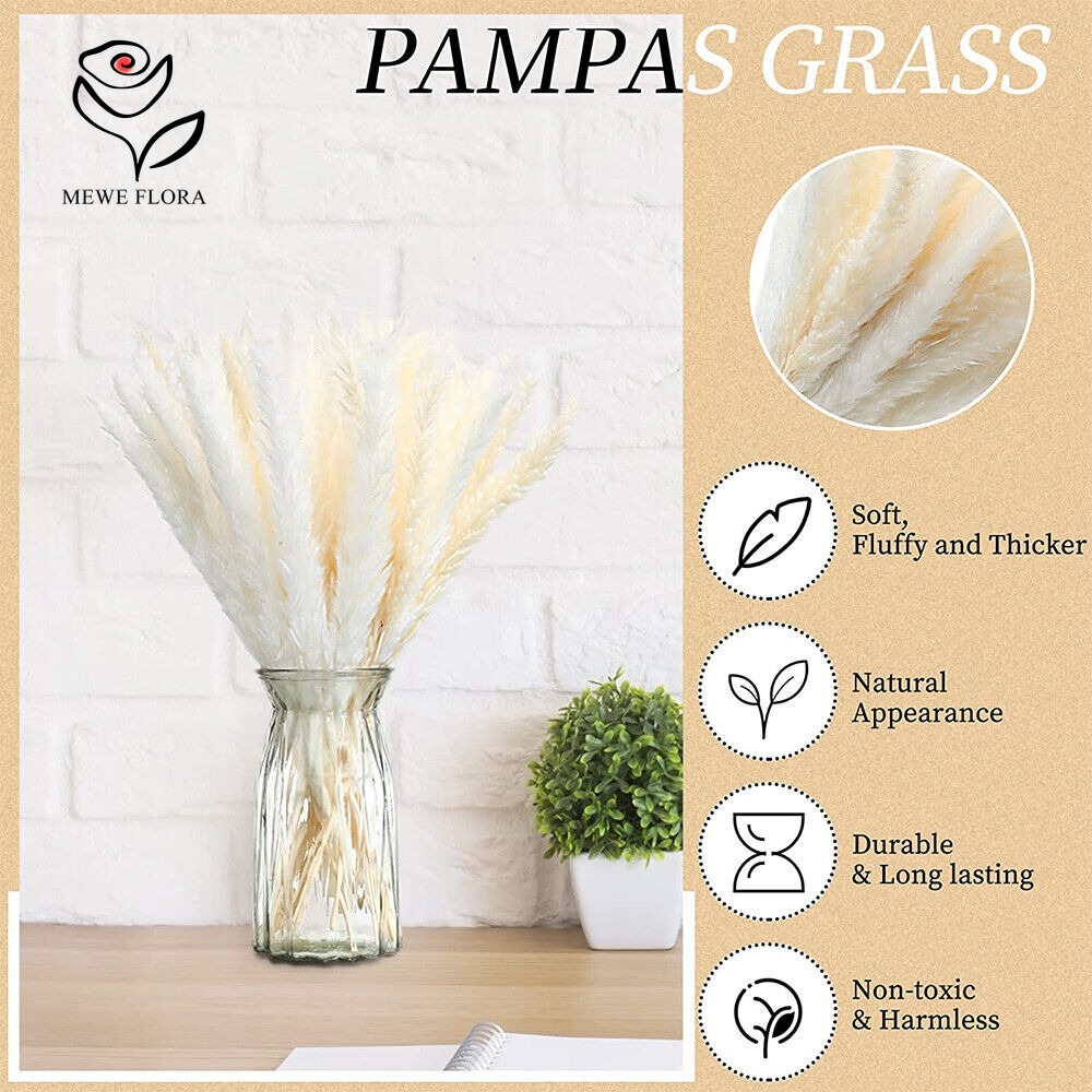 20 шт. пушистых пампасных трав – обзор и цена Dried Pampas Bundle